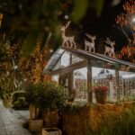 Kruchió László Szabadtéri Adventi Kiállítása – Monor – Információk – 2025